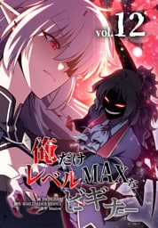 俺だけレベルMAXなビギナー（12）