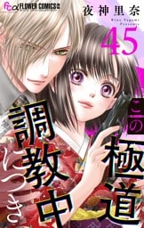 この極道調教中につき【マイクロ】（４５）