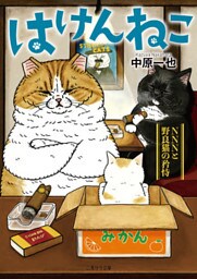 はけんねこ～NNNと野良猫の矜恃～