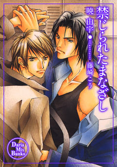 禁じられたまなざし