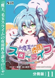 元魔王様の南国スローライフ～部下に裏切られたので、モフモフ達と楽しくスローライフするのじゃ～【分冊版】（ノヴァコミックス）１１
