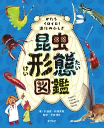 かたちイロイロ！進化のふしぎ　昆虫形態図鑑