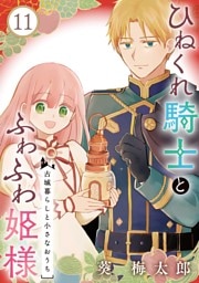 ひねくれ騎士とふわふわ姫様　古城暮らしと小さなおうち【分冊版】 11