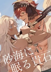 砂海に眠る貴石 1