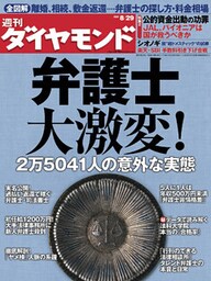 週刊ダイヤモンド 09年8月29日号