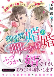 御曹司婿の押しかけ婚～高嶺の花の旦那サマといきなり新婚です～