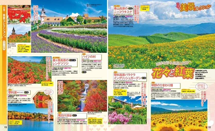 圧巻！美景コレクション／花々と紅葉