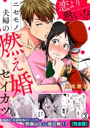 恋より熱い！？ニセモノ夫婦の燃え婚セイカツ【完全版】(3)