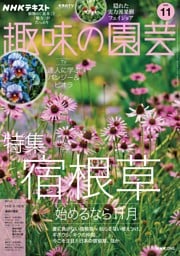 NHK 趣味の園芸 2025年11月号