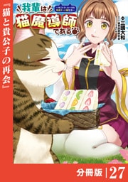 我輩は猫魔導師である～キジトラ・ルークの快適チート猫生活～【分冊版】（ポルカコミックス）２７
