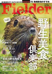 Fielder vol.35