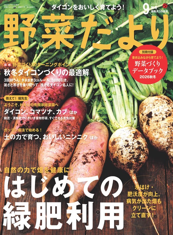 野菜だより 2026年9月秋号