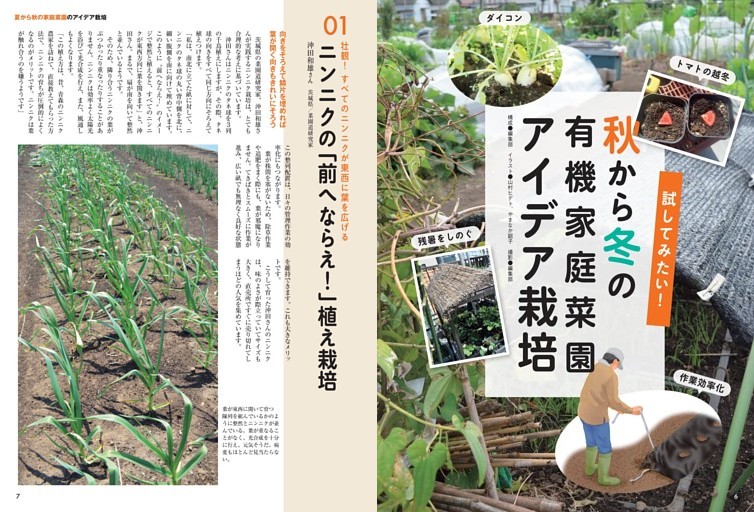 試してみたい！秋から冬の有機家庭菜園 アイデア栽培
