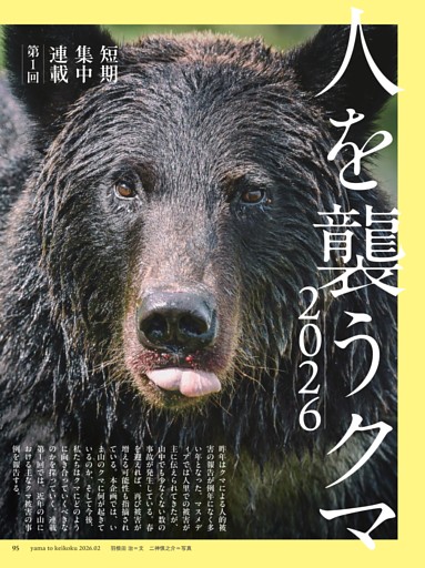 【短期集中連載】人を襲うクマ2026