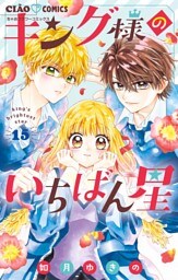 キング様のいちばん星【マイクロ】（１５）