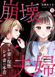 崩壊夫婦～サレ妻の復讐・シタ妻の本音(16)