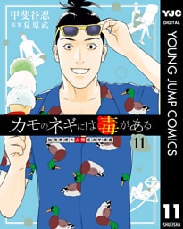 カモのネギには毒がある 加茂教授の人間経済学講義 11