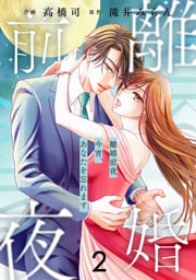 comic Berry’s離婚前夜～今宵、あなたを忘れます～2巻
