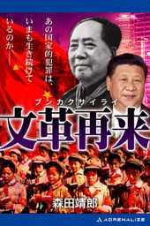 文革再来