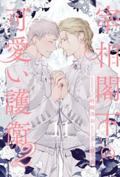 宰相閣下の可愛い護衛２【１１】