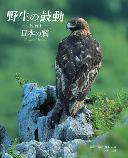 野生の鼓動 Part1 日本の鷲