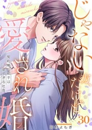 じゃない方、だけど愛され婚～契約婚の相手は一途すぎる社長３０