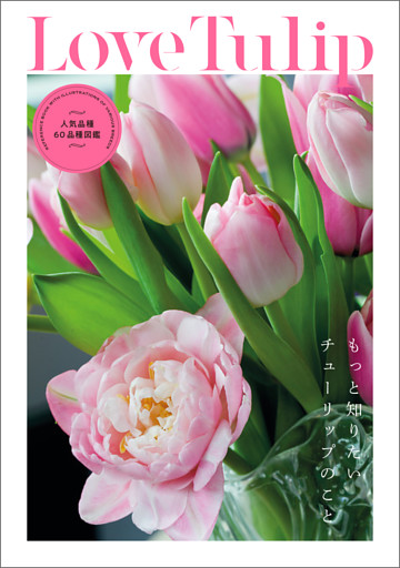 Love Tulip