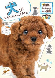 犬がおうちにやってきた！