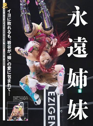 【巻頭リポート】マリーゴールド 10・26両国 イヨ・スカイvs岩谷麻優