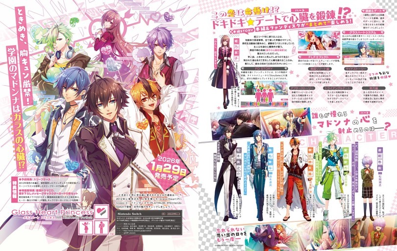 Glass Heart Princess for Nintendo Switch