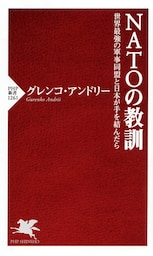 NATOの教訓