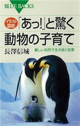 イラスト図説　「あっ！」と驚く動物の子育て　厳しい自然で生き抜く知恵