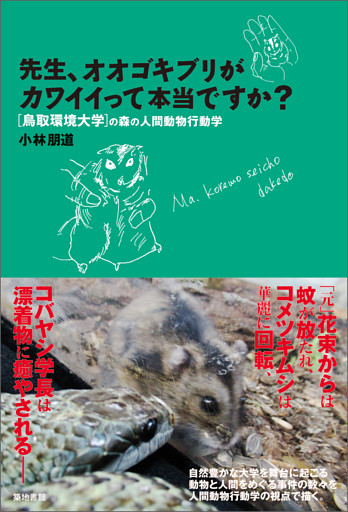先生、オオゴキブリがカワイイって本当ですか？