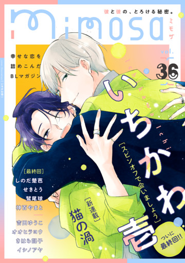 mimosa vol.36