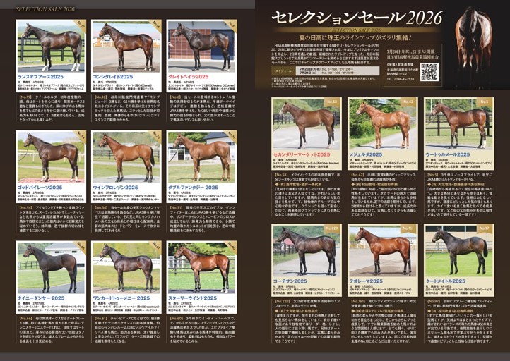 ★特集～セレクションセール注目上場予定馬