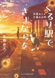 くるり駅でさよならを 白黒ねこと夕暮れの町