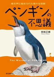 ペンギンの不思議鳴き声に秘められた様々な役割