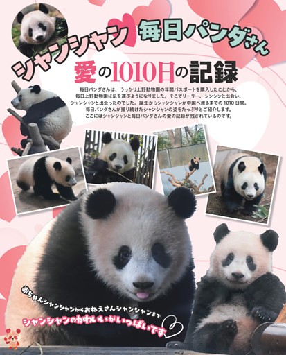 シャンシャン マスク（上野動物園の子パンダ・シャンシャンとの3