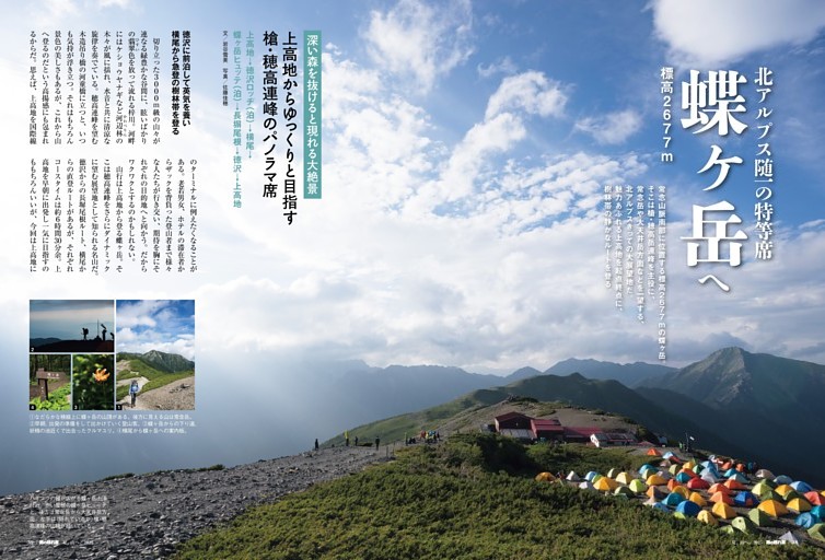 景岳全書上下 景岳全書上下全两册精装本
