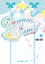 Dream Prince(2)