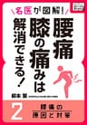 名医が図解！ 腰痛・膝の痛みは解消できる！ (2) 腰痛の原因と対策