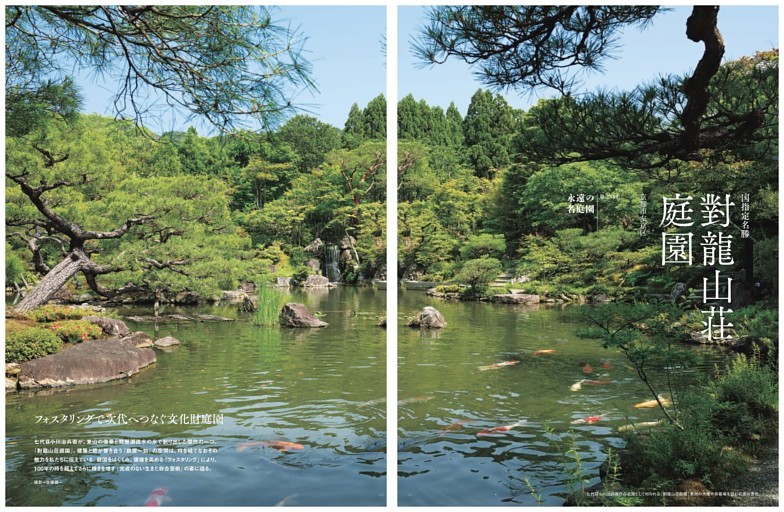 永遠の名庭園｜第23回 對龍山荘庭園 文＝加藤友規／植彌加藤造園代表取締役社長、京都芸術大学大学院教授