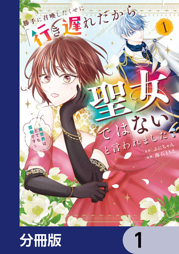 勝手に召喚したくせに「行き遅れだから聖女ではない」と言われました　～異世界はとても面倒です～【分冊版】
