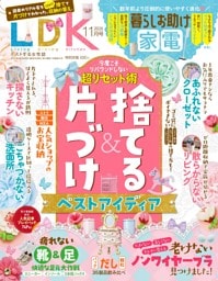 LDK 2026年11月号