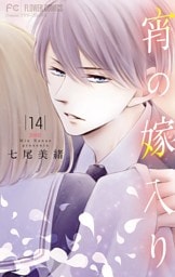 宵の嫁入り【マイクロ】（１４）