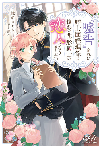 『嘘告』された騎士団経理係は憧れの花形騎士の恋人になりました。