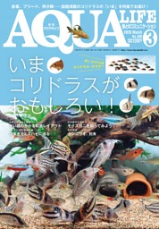アクアライフ 7 月号 | dマガジンなら人気雑誌が読み放題！
