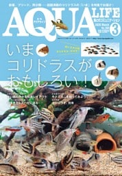 アクアライフ ３月号