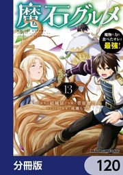 魔石グルメ　魔物の力を食べたオレは最強！【分冊版】　120