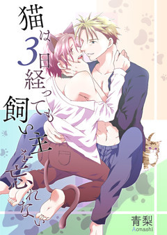 猫は3日経っても飼い主を忘れない